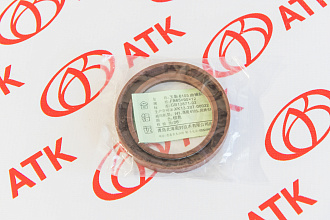Сальник коленвала передний  4RMAZG, YCD4J22T-115,  (65х90х12)